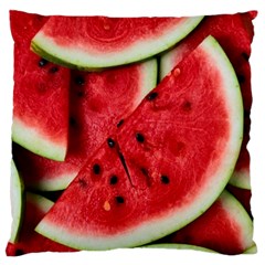 Fresh Watermelon Slices Texture Standard Flano Cushion Case (two Sides) by BangZart