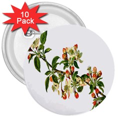 Apple Branch Deciduous Fruit 3  Buttons (10 Pack)  by Nexatart