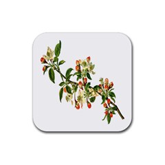 Apple Branch Deciduous Fruit Rubber Coaster (square) 