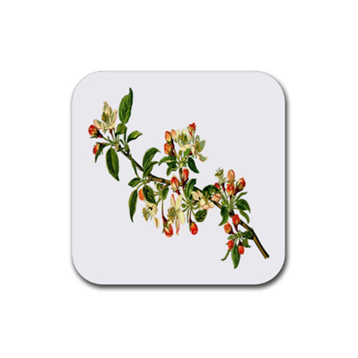 Apple Branch Deciduous Fruit Rubber Coaster (Square) 