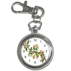 Apple Branch Deciduous Fruit Key Chain Watches by Nexatart