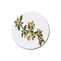 Apple Branch Deciduous Fruit Rubber Coaster (round)  by Nexatart