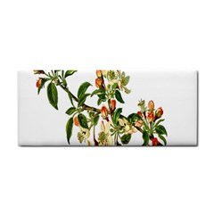 Apple Branch Deciduous Fruit Cosmetic Storage Cases