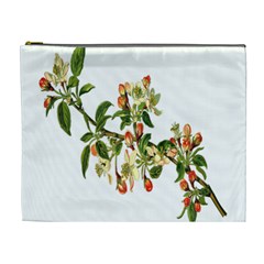 Apple Branch Deciduous Fruit Cosmetic Bag (xl) by Nexatart