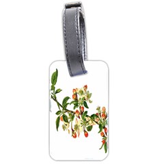 Apple Branch Deciduous Fruit Luggage Tags (two Sides) by Nexatart