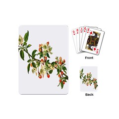 Apple Branch Deciduous Fruit Playing Cards (mini) 