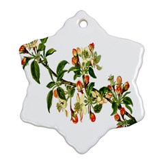 Apple Branch Deciduous Fruit Snowflake Ornament (two Sides)