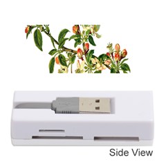 Apple Branch Deciduous Fruit Memory Card Reader (stick)  by Nexatart