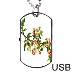 Apple Branch Deciduous Fruit Dog Tag Usb Flash (one Side) by Nexatart