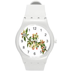 Apple Branch Deciduous Fruit Round Plastic Sport Watch (m)