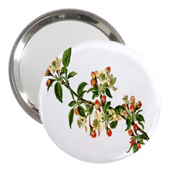 Apple Branch Deciduous Fruit 3  Handbag Mirrors