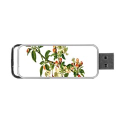 Apple Branch Deciduous Fruit Portable Usb Flash (one Side) by Nexatart