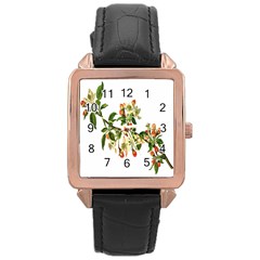 Apple Branch Deciduous Fruit Rose Gold Leather Watch  by Nexatart