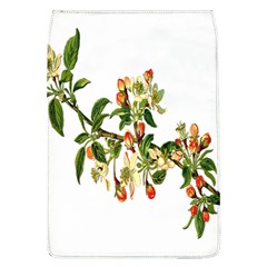 Apple Branch Deciduous Fruit Flap Covers (l)  by Nexatart