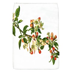 Apple Branch Deciduous Fruit Flap Covers (s)  by Nexatart