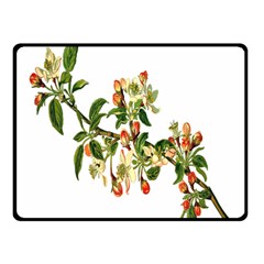 Apple Branch Deciduous Fruit Double Sided Fleece Blanket (small)  by Nexatart