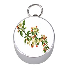 Apple Branch Deciduous Fruit Mini Silver Compasses by Nexatart