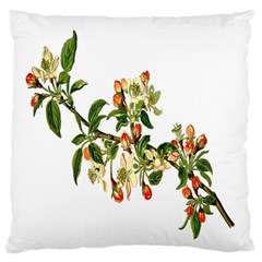 Apple Branch Deciduous Fruit Large Flano Cushion Case (two Sides) by Nexatart