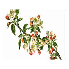 Apple Branch Deciduous Fruit Double Sided Flano Blanket (large)  by Nexatart