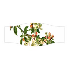 Apple Branch Deciduous Fruit Stretchable Headband by Nexatart