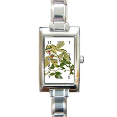 Berries Berry Food Fruit Herbal Rectangle Italian Charm Watch by Nexatart