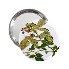 Berries Berry Food Fruit Herbal 2 25  Handbag Mirrors by Nexatart