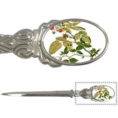 Berries Berry Food Fruit Herbal Letter Openers by Nexatart