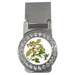 Berries Berry Food Fruit Herbal Money Clips (cz)  by Nexatart