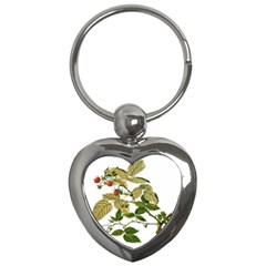 Berries Berry Food Fruit Herbal Key Chains (heart)  by Nexatart