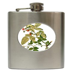 Berries Berry Food Fruit Herbal Hip Flask (6 Oz) by Nexatart