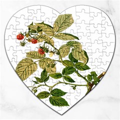 Berries Berry Food Fruit Herbal Jigsaw Puzzle (heart) by Nexatart