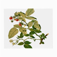 Berries Berry Food Fruit Herbal Small Glasses Cloth by Nexatart