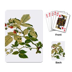 Berries Berry Food Fruit Herbal Playing Card by Nexatart