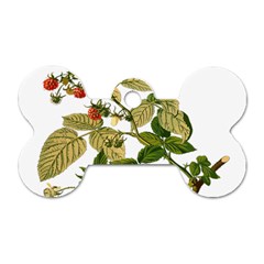 Berries Berry Food Fruit Herbal Dog Tag Bone (one Side) by Nexatart