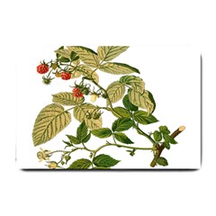 Berries Berry Food Fruit Herbal Small Doormat  by Nexatart