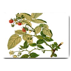 Berries Berry Food Fruit Herbal Large Doormat  by Nexatart