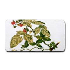 Berries Berry Food Fruit Herbal Medium Bar Mats by Nexatart