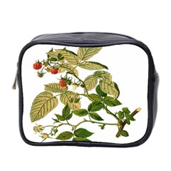 Berries Berry Food Fruit Herbal Mini Toiletries Bag 2-side by Nexatart