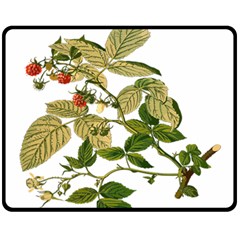 Berries Berry Food Fruit Herbal Fleece Blanket (medium)  by Nexatart