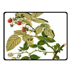 Berries Berry Food Fruit Herbal Fleece Blanket (small) by Nexatart