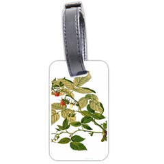 Berries Berry Food Fruit Herbal Luggage Tags (one Side)  by Nexatart