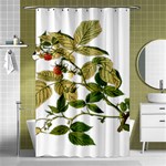 Berries Berry Food Fruit Herbal Shower Curtain 48  x 72  (Small)  Curtain(48  X 72 ) - 42.18 x64.8  Curtain(48  X 72 )