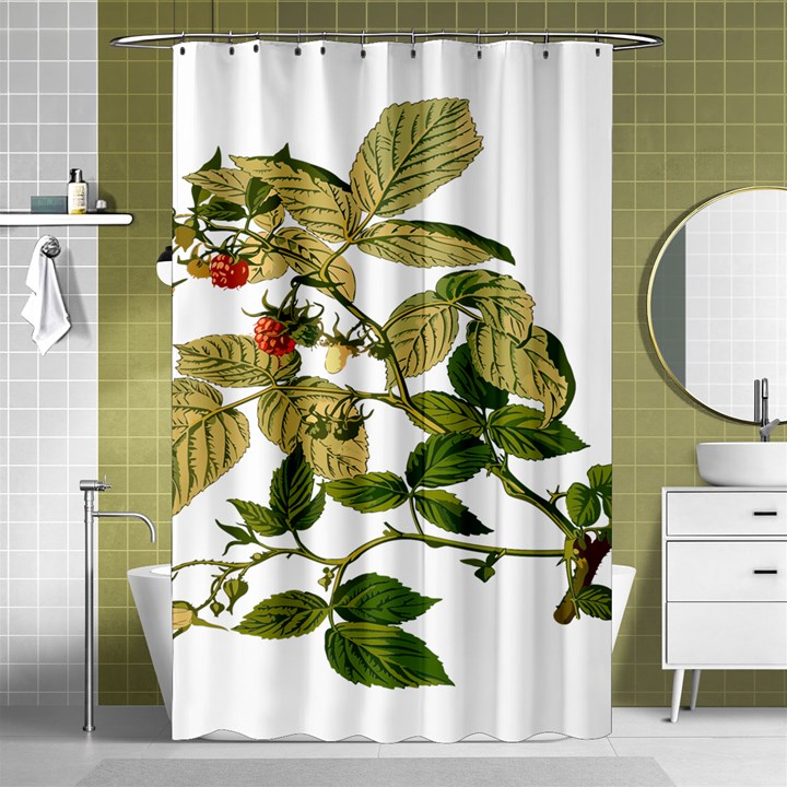 Berries Berry Food Fruit Herbal Shower Curtain 48  x 72  (Small) 