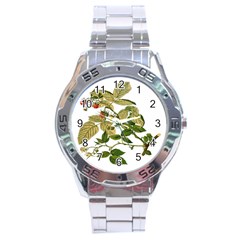 Berries Berry Food Fruit Herbal Stainless Steel Analogue Watch by Nexatart