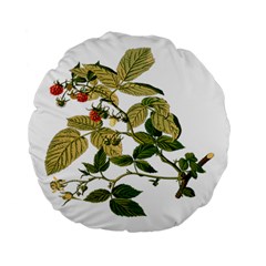 Berries Berry Food Fruit Herbal Standard 15  Premium Flano Round Cushions by Nexatart