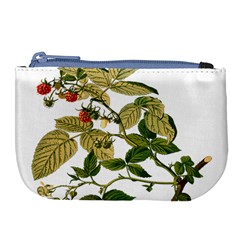 Berries Berry Food Fruit Herbal Large Coin Purse by Nexatart