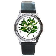 Bitter Branch Citrus Edible Floral Round Metal Watch by Nexatart