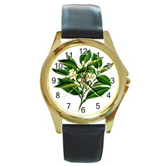 Bitter Branch Citrus Edible Floral Round Gold Metal Watch by Nexatart