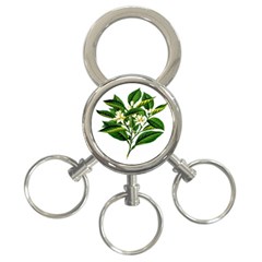 Bitter Branch Citrus Edible Floral 3-ring Key Chains by Nexatart