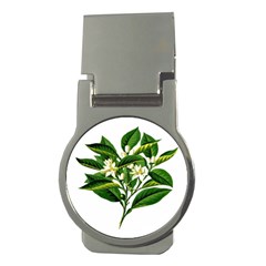 Bitter Branch Citrus Edible Floral Money Clips (round)  by Nexatart